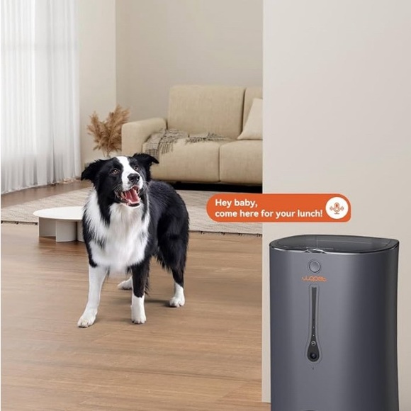 Pet feeder for dogs or cats automatic feeder, with a camera, voice recording - Picture 2 of 5